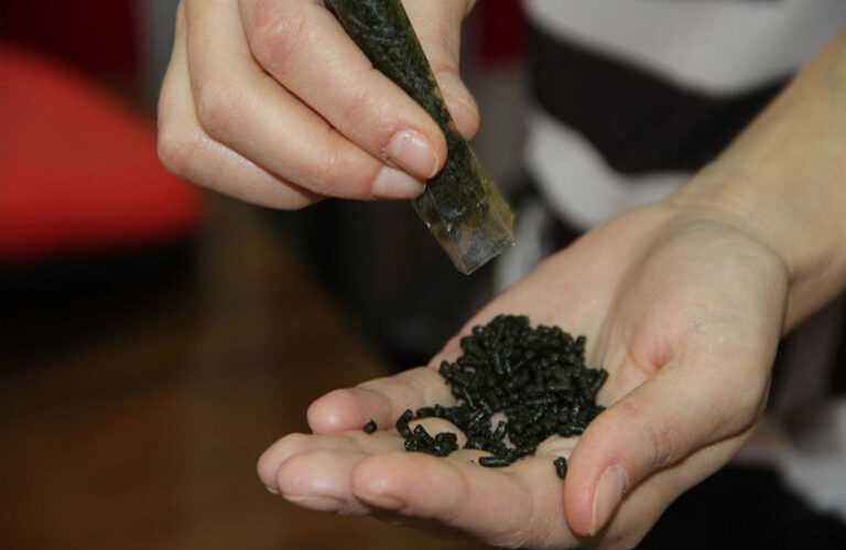 Qirg‘izistonda nosvoyni to‘liq taqiqlash taklif qilindi