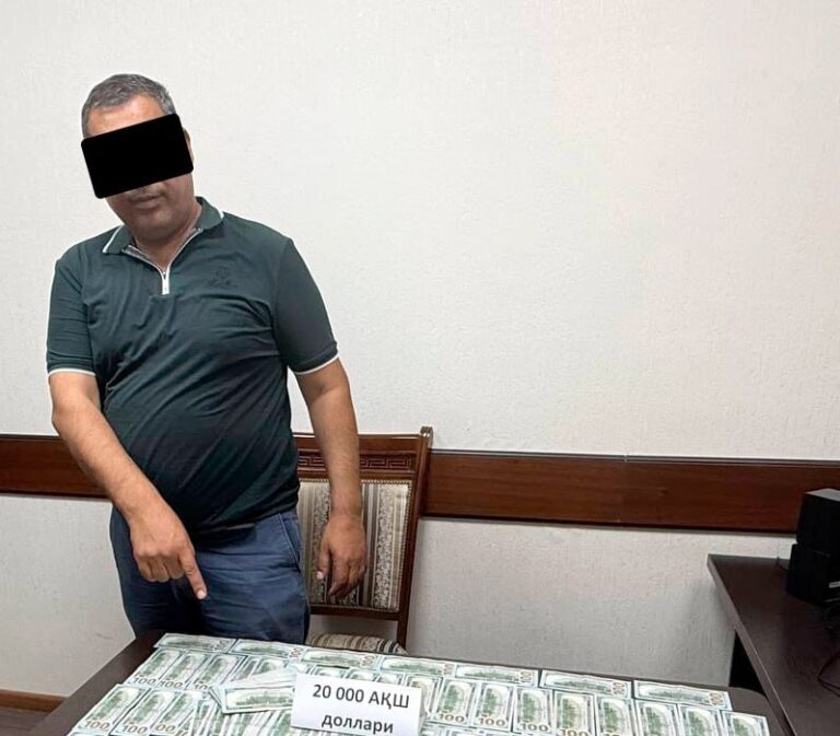 Продажу госземли за $750 тыс. пресекли под Ташкентом