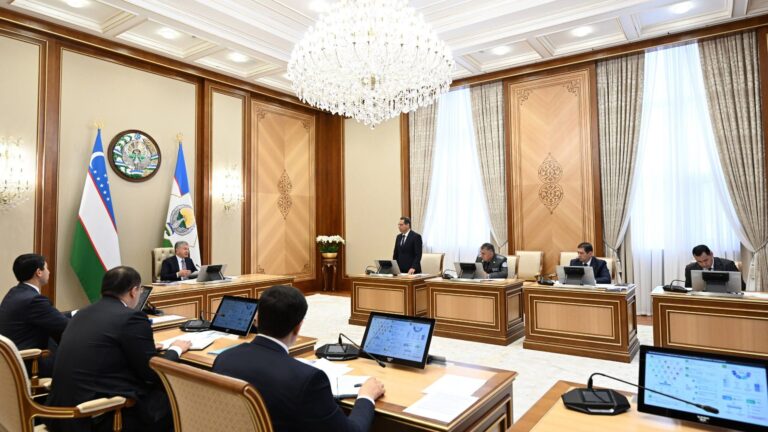 2026-yilda bitiruvchilarning 8 mingdan ortiq biznes loyihasi moliyalashtiriladi