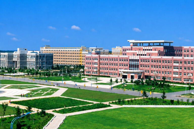 Xivada Xitoy universiteti filiali ochilishi rejalashtirilmoqda