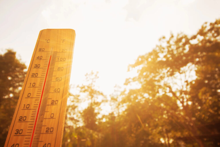 Узбекистан накроет жара до +45°: прогноз на 18–20 июля