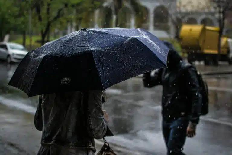 Дождь очистил воздух в Ташкенте от вредных веществ