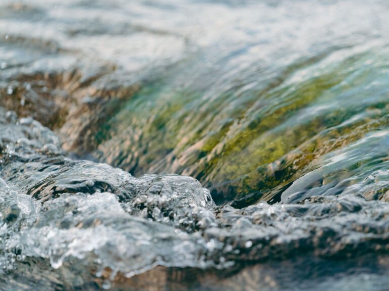 Водный стресс в Узбекистане за пять лет снизился с 169% до 122%