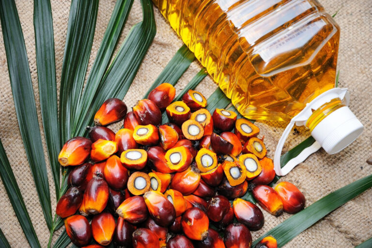 Uzbek think tank proposes taxing palm oil to combat public health risks