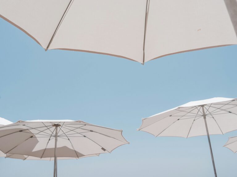До +36° без осадков: погода в Ташкенте 6 августа