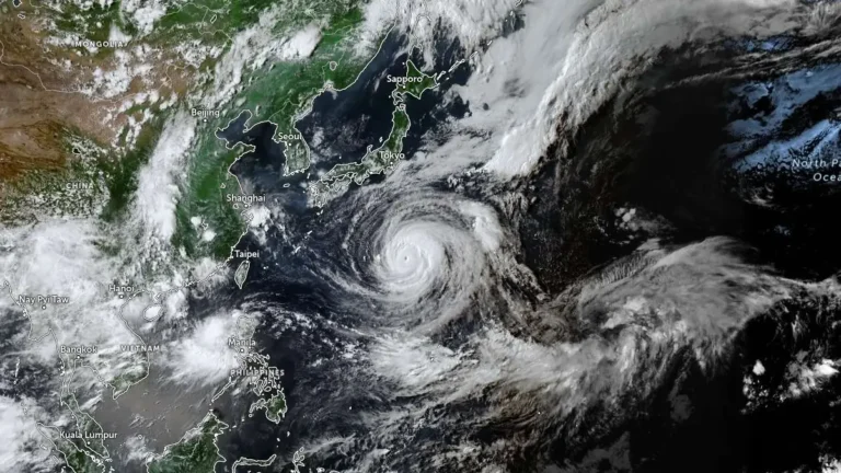 Typhoon Dolphin batters Japan as China and Taiwan brace for impact